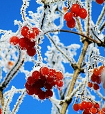 Новогоднее путешествие Фритьофа Нансена: от «свадьбы» Ангара-Енисей до гор Хакасии